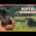 Father & Son Chasing DANGEROUS Game in Africa 💥🐃💥🐃 Buffalo DOUBLE in MOZAMBIQUE