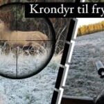 Krondyr til fryseren!?