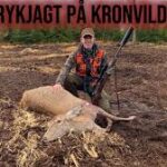 Trykjagt på kronvildt!!!