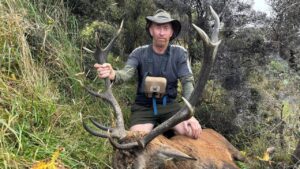 Big Royal 12 Point Red Stag Red Stag Roar Hunting NZ 2026